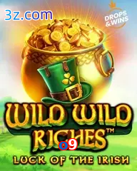 o9 slot wild wild riches